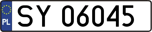 SY06045