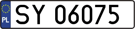 SY06075