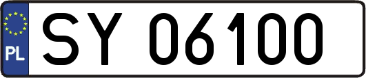 SY06100