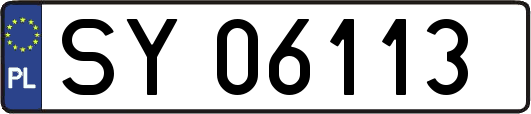 SY06113