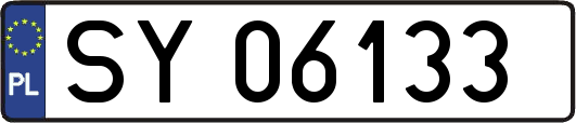 SY06133