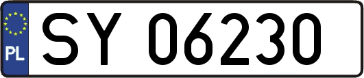 SY06230