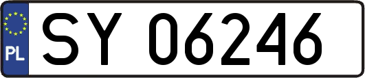 SY06246