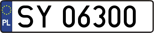 SY06300