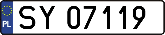 SY07119