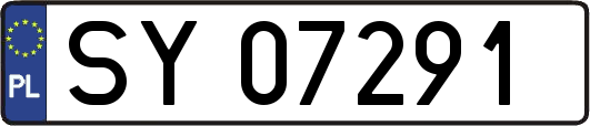 SY07291