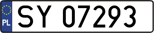 SY07293