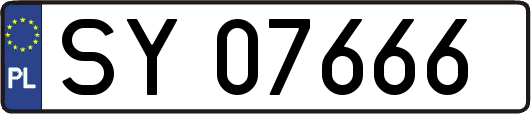 SY07666