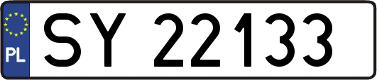 SY22133
