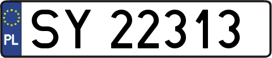 SY22313