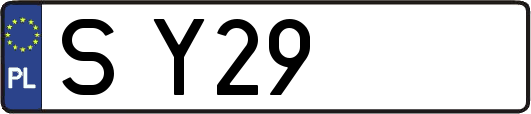 SY29