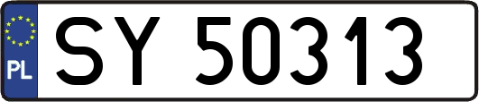 SY50313