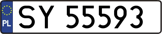 SY55593