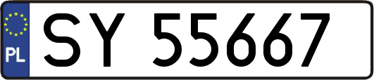 SY55667