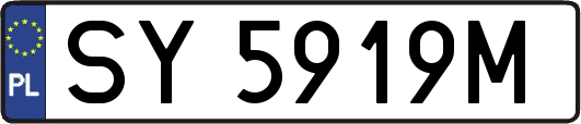 SY5919M