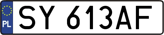 SY613AF