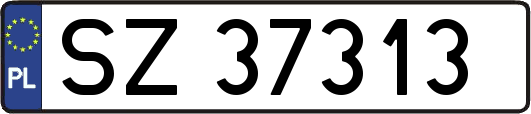 SZ37313