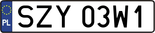 SZY03W1
