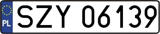SZY06139