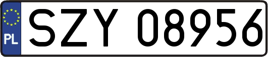 SZY08956