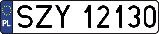 SZY12130
