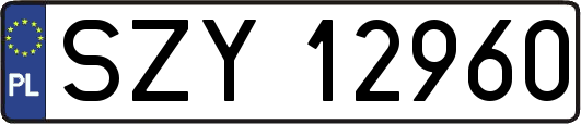 SZY12960