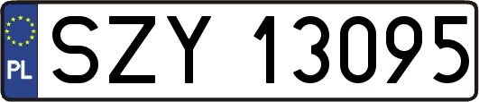 SZY13095