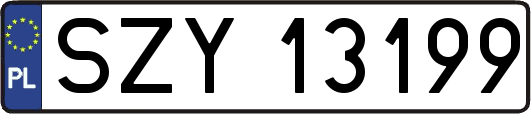 SZY13199