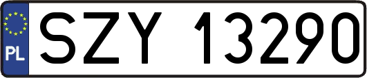 SZY13290