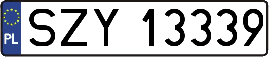 SZY13339