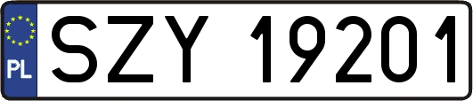 SZY19201