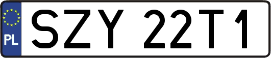 SZY22T1