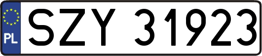 SZY31923