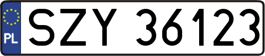 SZY36123