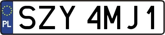 SZY4MJ1