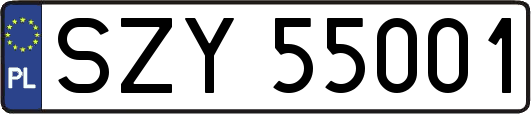 SZY55001