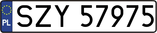 SZY57975