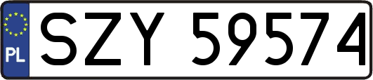 SZY59574