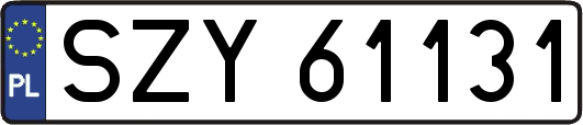 SZY61131