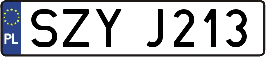 SZYJ213