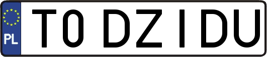 T0DZIDU