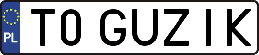 T0GUZIK