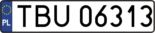 TBU06313