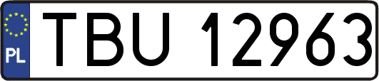 TBU12963