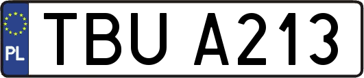 TBUA213