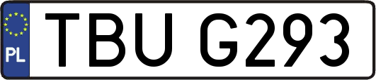 TBUG293