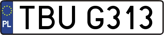 TBUG313