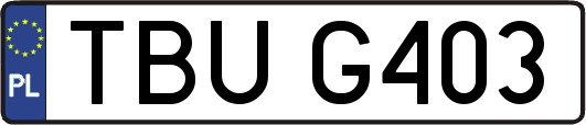 TBUG403