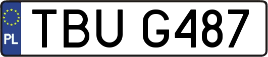 TBUG487