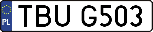 TBUG503